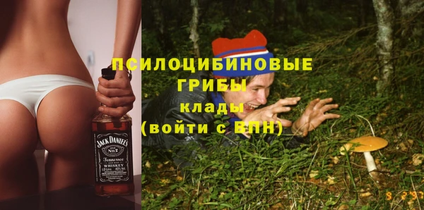 apvp Лихославль