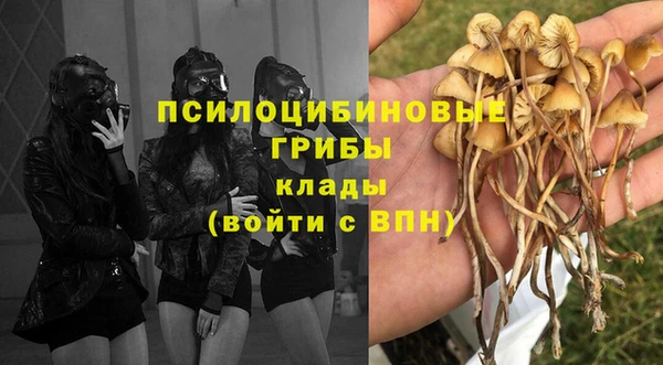 гидра Лиски