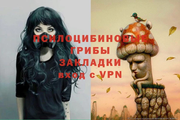 COCAINE Ладушкин